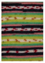 Strickset "Socken stricken", komplettes Geschenkset zum Strümpfe stricken, DIY-Pack inklusive Wolle, Nadeln, Nadelgarage, Handmaß und Anleitung – Bild 7