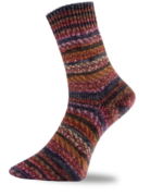 Pro Lana / Golden socks BERGWELT - VORTEILSPACK - 5 verschiedene Farben. Sockenwolle 5x100g, 4-fädig, für Nadelstärke 2.5 - 3.0 mm – Bild 3