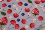 BRUSTBEUTEL / Umhängetäschchen für Kinder "Rote Beeren" mit Klarsichtfach mit Reflektorstreifen; Geldbörse, Fahrkartentasche, Kindergeldbeutel – Bild 5